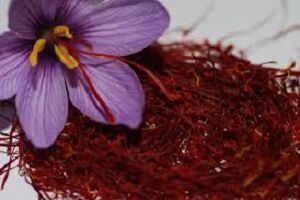 صادرات طلای سرخ آب رفت