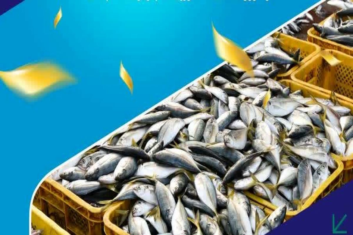 افتتاح بارانداز ماهی در اصفهان