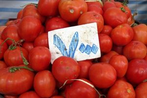 افزایش قیمت گوجه‌فرنگی/ وعده ارزانی در روزهای آینده