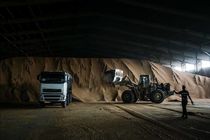 آغاز ترخیص و بارگیری ۸ هزار تن کنجاله سویا وارداتی از گمرک شهید رجایی