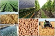 قیمت روز محصولات کشاورزی جهان؛ از برنج و گندم تا ذرت و سویا