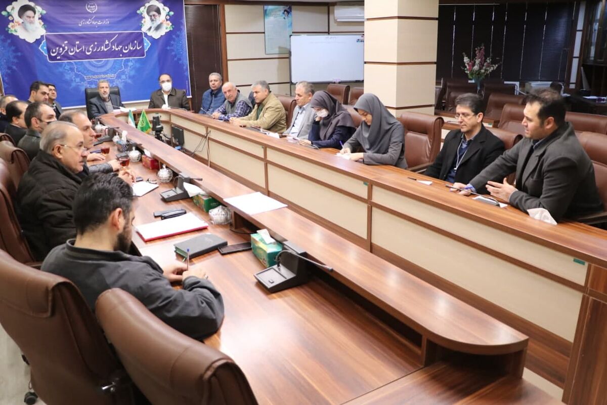 جهاد کشاورزی مرغ