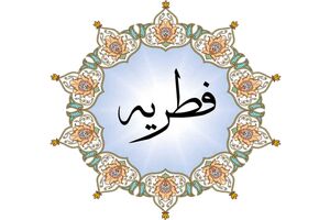 هشدار پلیس درباره پرداخت فطریه در فضای مجازی