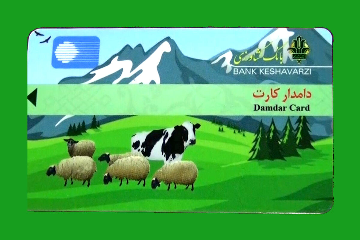 دامدار کارت
