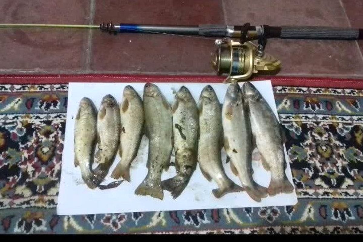 محیط زیست مازندران