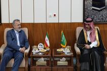 ارزیابی مثبت رئیس سازمان حج از مذاکره با وزیر حج و عمره عربستان + فیلم