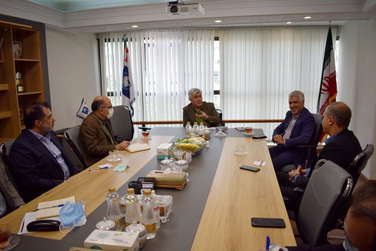 ایران خودرو