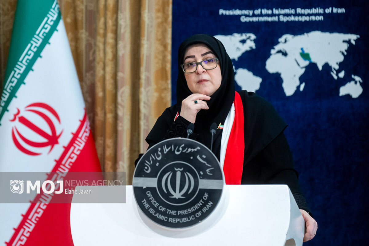 فاطمه مهاجرانی + سخنگوی دولت