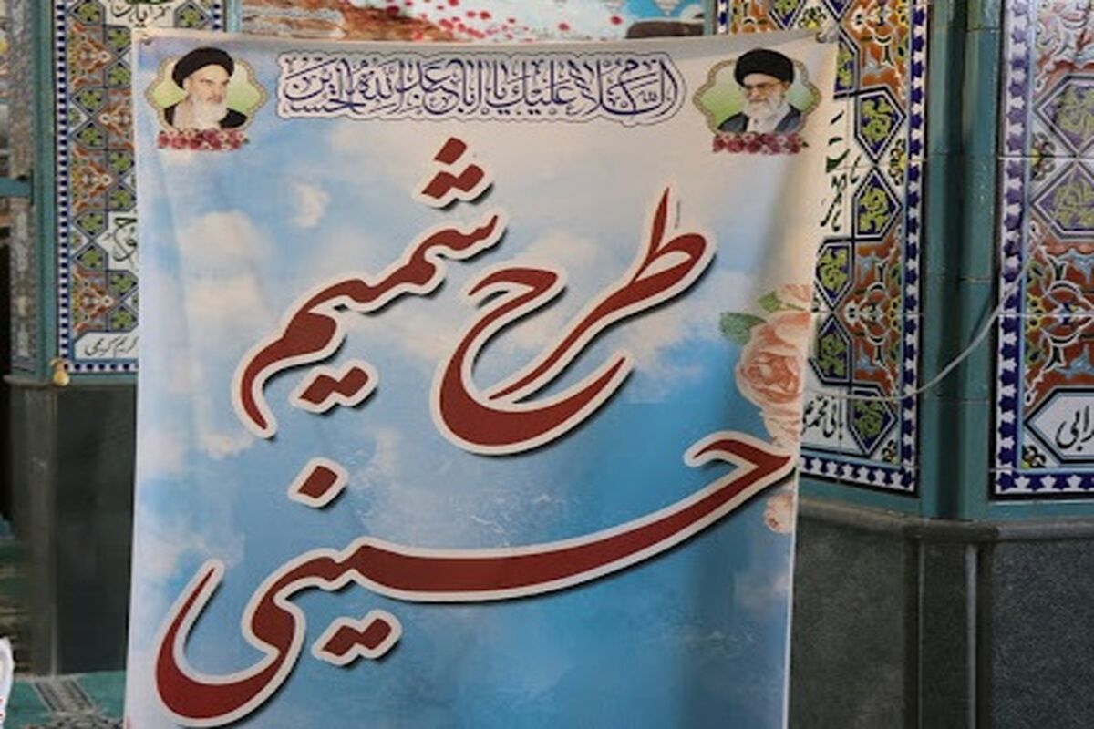 شمیم حسینی