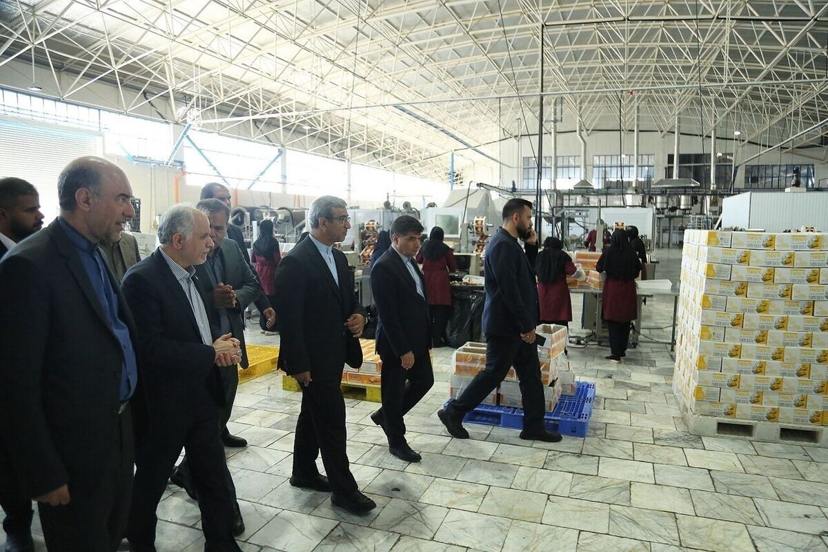 وزیر دادگستری