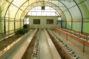 نخستین مرکز آموزشی کشت بدون خاک در گیلان افتتاح شد 