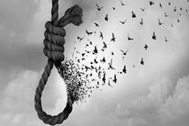 یک محکوم به قصاص در شیراز پس از ۱۶ سال به زندگی بازگشت