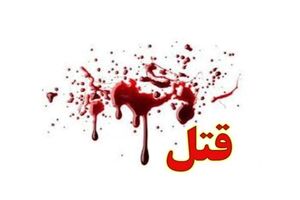 انتقامجویی، زمینه ساز وقوع قتل‌ در حاجی آباد