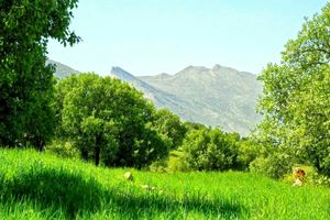 هفت سین طبیعی ایلام بدون مهمان و گردشگر  