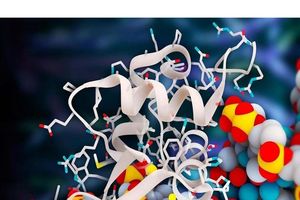 آمریکا می‌خواهد خانه‌های زنده بسازد