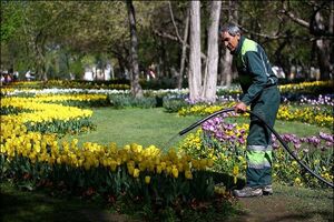 شبکه مستقل آبیاری فضای سبز منجر به کاهش تردد تانکرها و آلودگی هوا است