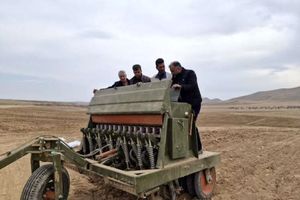 توسعه کشت‌های تناوبی دیم اولویت چهارمحال‌وبختیاری