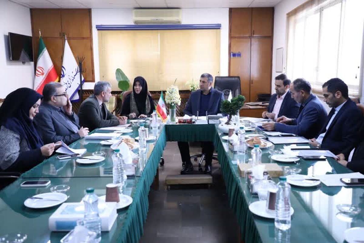 گنجی معاون اقتصادی استانداری مازندران 