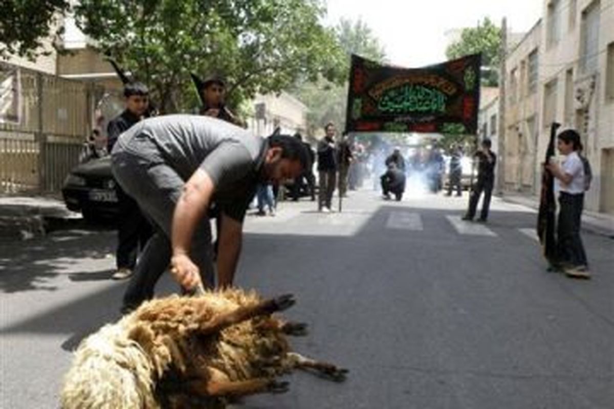 ممنوعیت ذبح دام در معابر عمومی