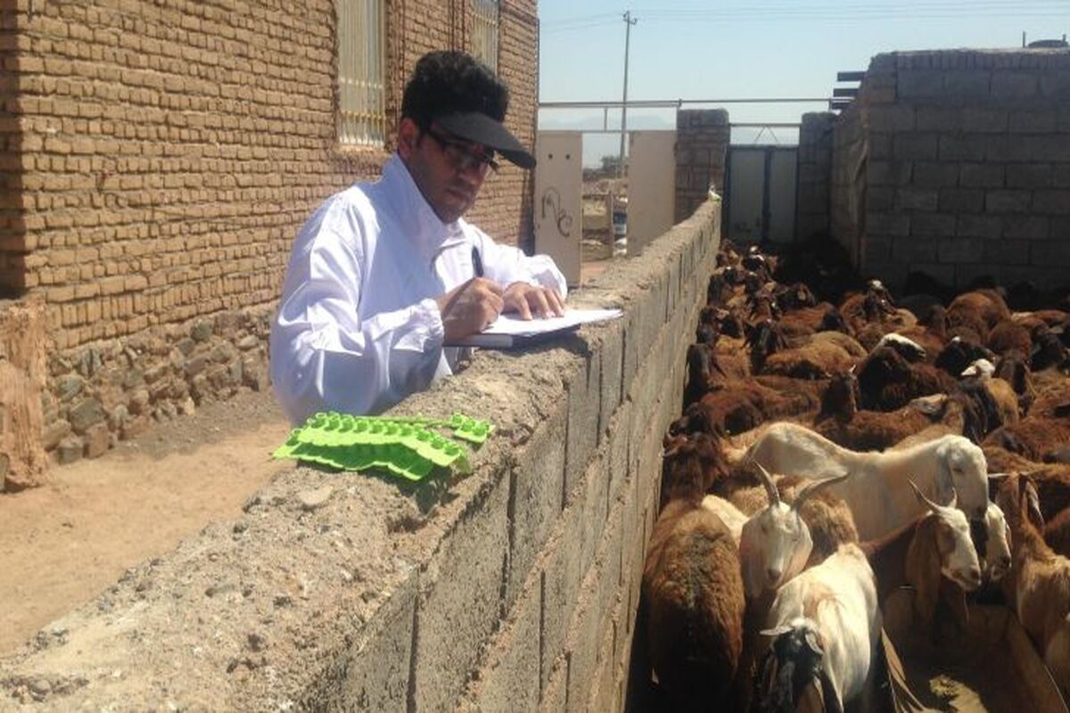  پوشش بیمه دام 