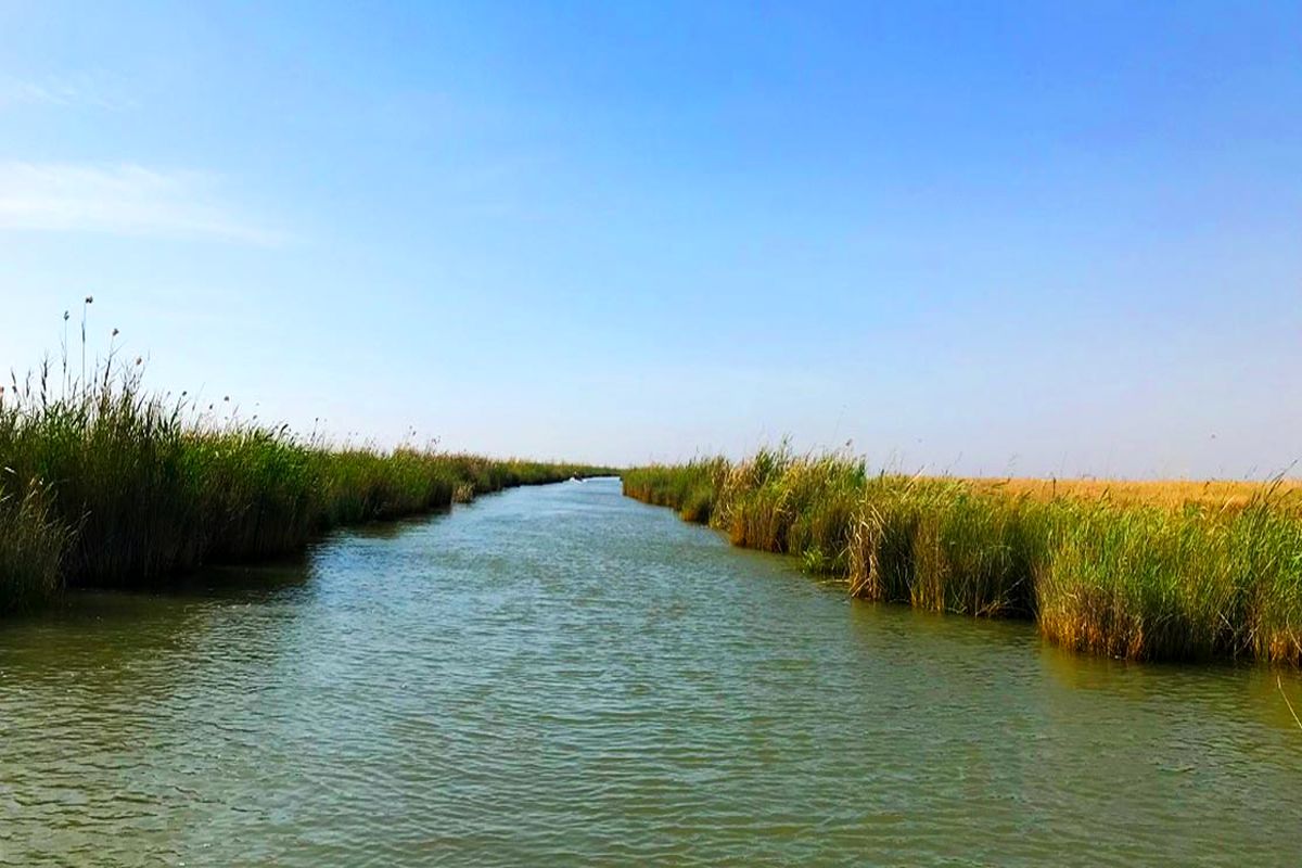 تالاب شادگان