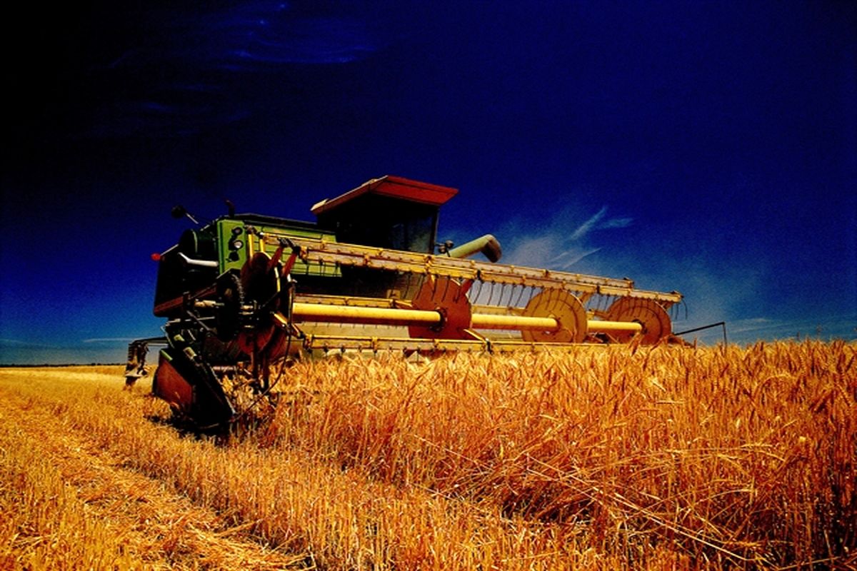 بانک کشاورزی