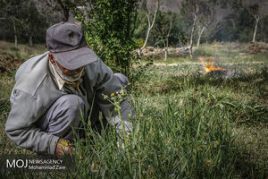 برداشت 1.5 میلیارد دلار از صندوق توسعه ملی برای بهبود کسب و کار و ایجاد اشتغال در مناطق روستایی، عشایری