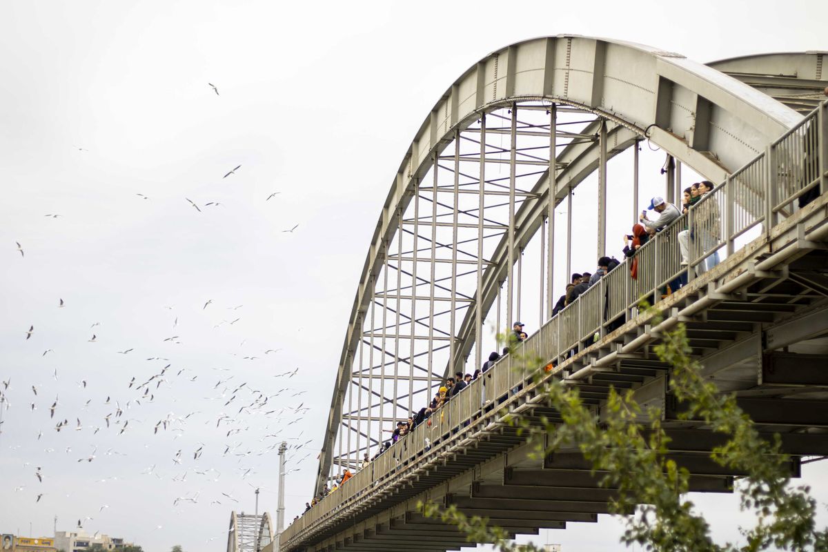 پرنده های مهاجر اهواز