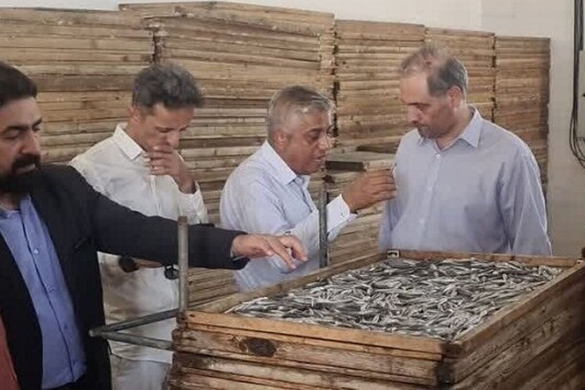 شیلات هرمزگان