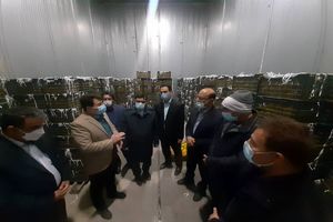 اقدامات نظارتی جهت کنترل قیمت میوه در بازار افزایش می‌یابد