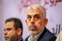 هیچ کس نمی‌تواند ما را به خاطر قدردانی از ایران سرزنش کند