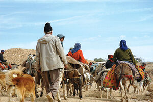 رودان میزبان عشایر کوچ روی استان کرمان