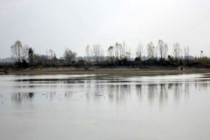 دستگیری فردی که در خارج از روز مجاز صید، به شکار رفت