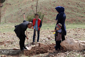 طرح کاشت یک میلیارد درخت با قوت پیگیری می‌شود