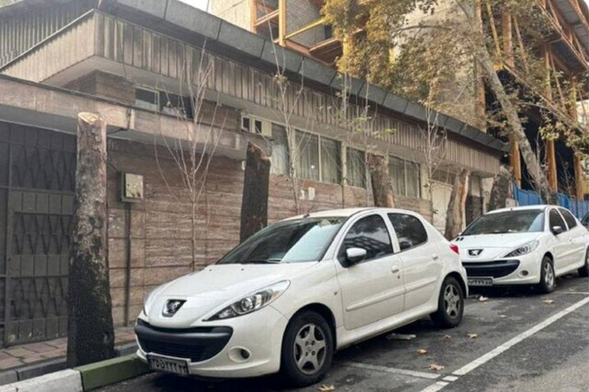 قطع درختان خیابان فرشته