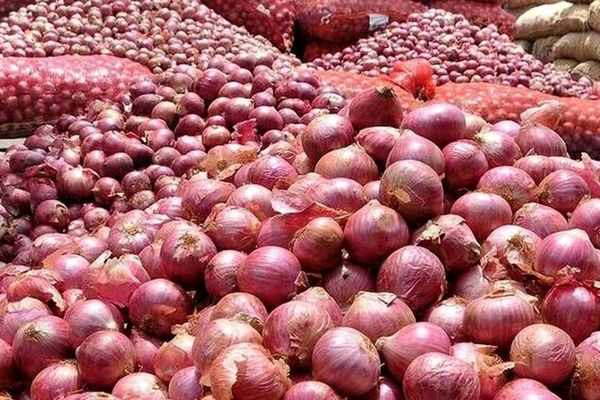 پرداخت ۷۵۰ میلیارد ریال از مطالبات خرید تضمینی پیاز هرمزگان