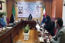 فروش مجازی زیلو و صنایع دستی میبد در حال برنامه ریزی است 