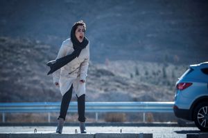 ژن خوک نقد و بررسی می شود