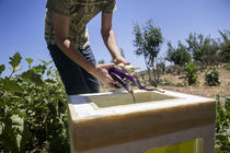 این یخچال با آب کار می کند