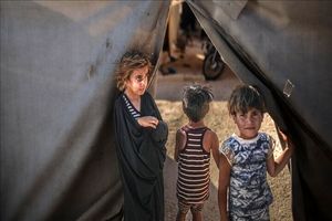میزان مرگ کودکان در نوار غزه ۲ برابر بیشتر از ۴۰ جنگ بوده است