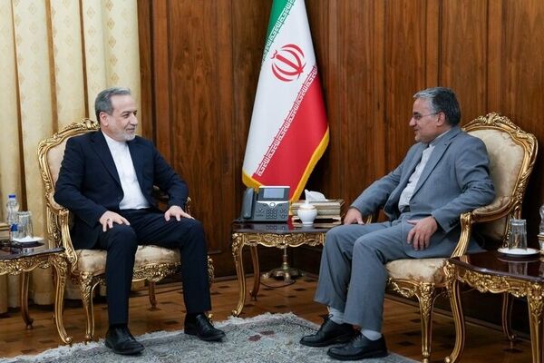 رئیس دفتر حفاظت منافع ایران در قاهره با عراقچی دیدار کرد