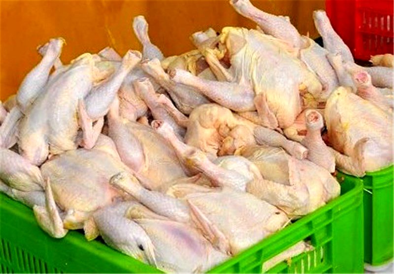 مرغ های کوچکتر سالم ترند