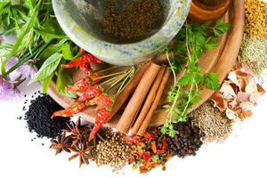 ارائه ۲ واحد درس طب ایرانی به دانشجویان پزشکی در سال جاری