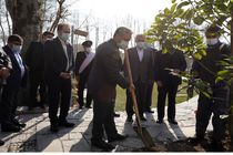 برگزاری روز ملی درختکاری در بانک مسکن