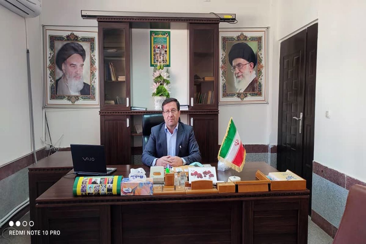 مجتبی پنجعلی زاده