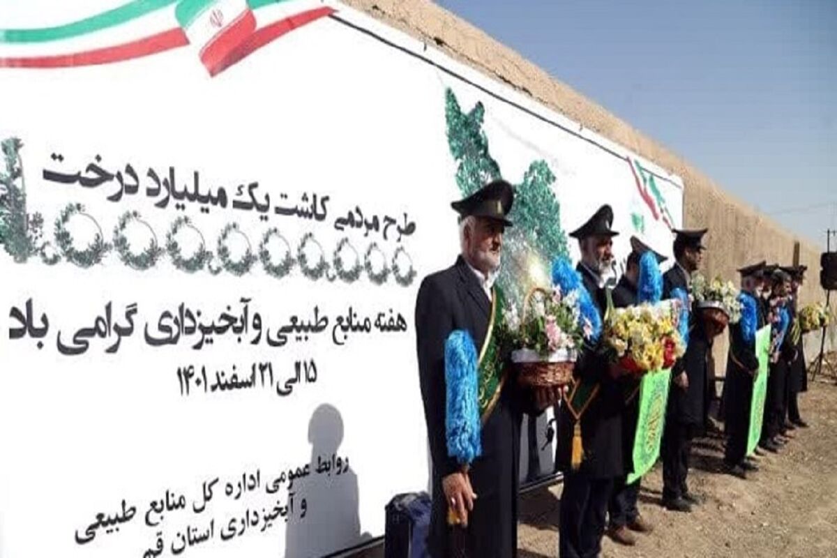 کاشت نهال