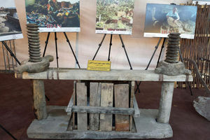 نمایش آداب و رسوم مردمان آذربایجان در فصل برداشت انگور در قاب پنجمین جشنواره انگور