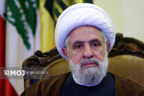 دولت لبنان ناتوان است، کناره گیری کند