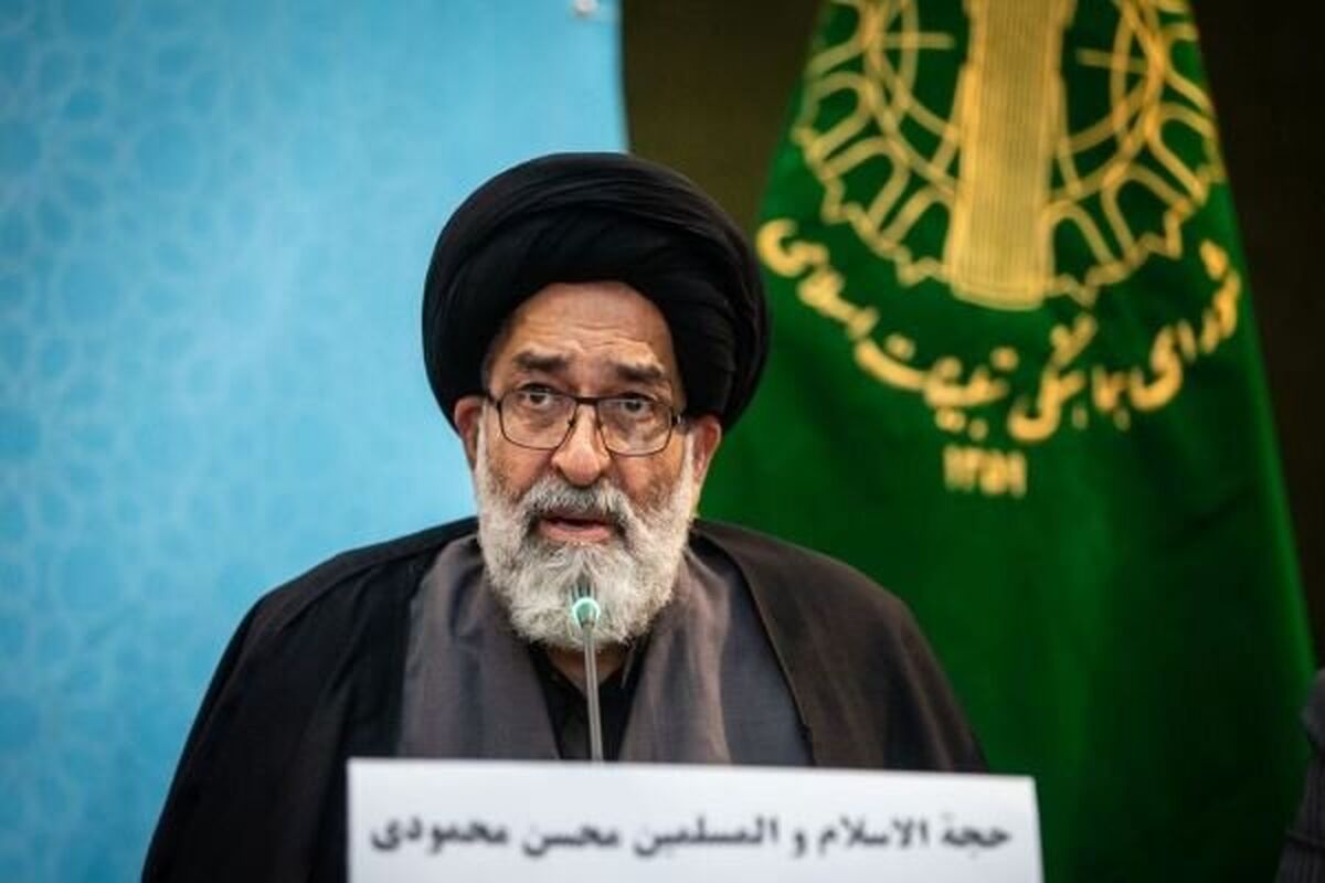 حجت الاسلام والمسلمین سید محسن محمودی