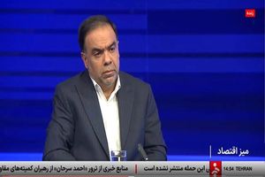  ۵۹ هزار قطعه زمین به خانواده‌های مشمول قانون جوانی جمعیت واگذار می شود